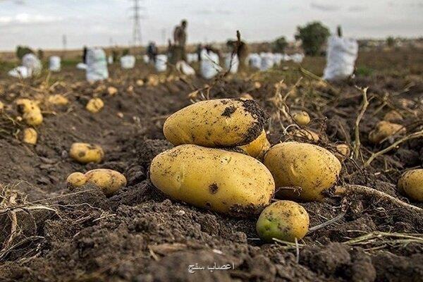 سنجش باقیمانده تمامی سموم محصولات کشاورزی در کشور